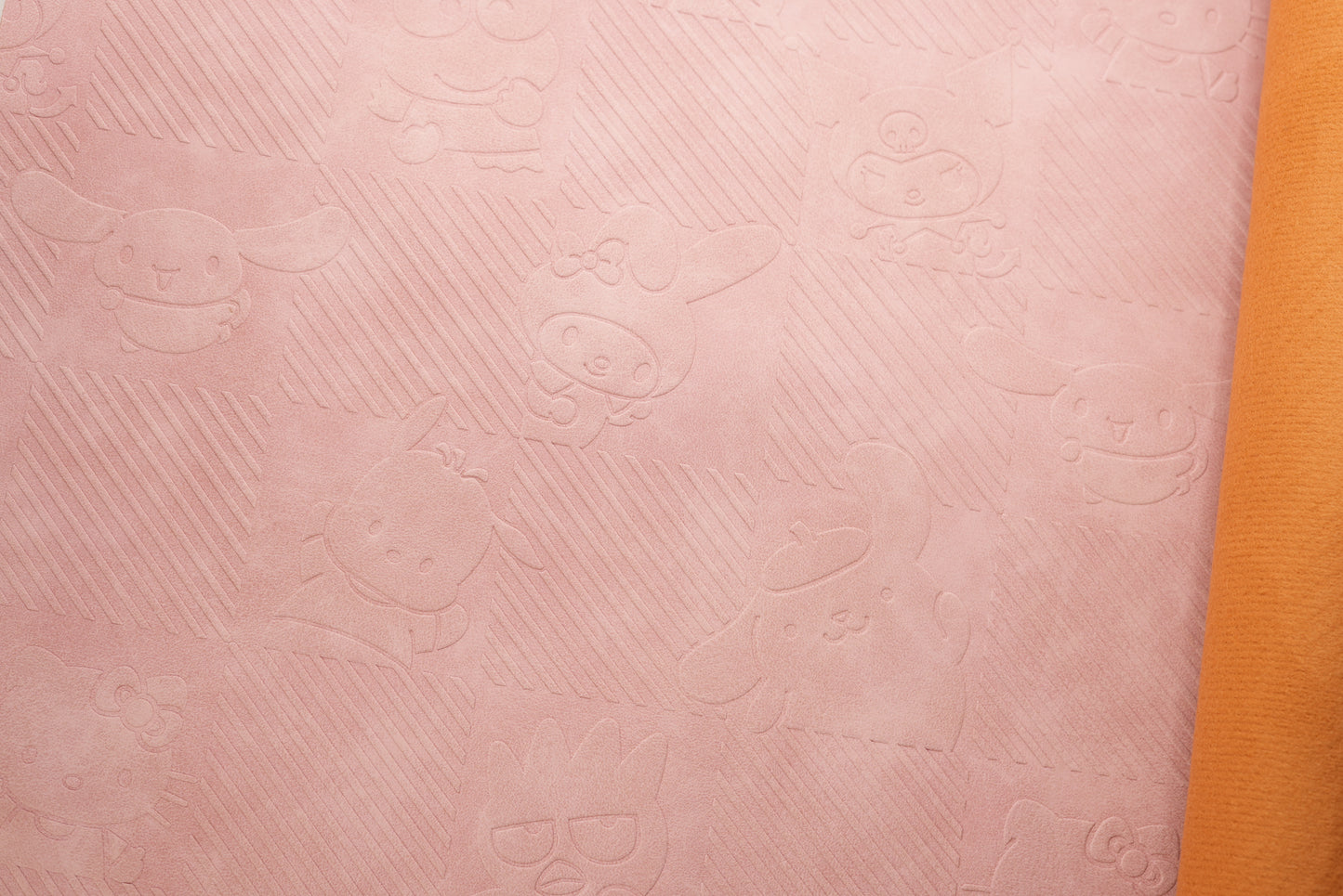 SNR EMBOSSED VINYL | SHORTCUTS | RTS